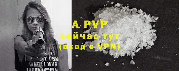 индика Дмитров