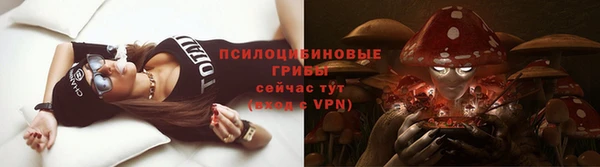 бошки Алексин