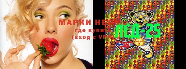 гашик Алзамай