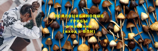 бошки Алексин