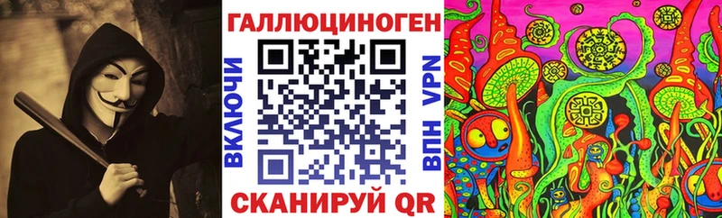 Псилоцибиновые грибы Psilocybe  Белорецк 