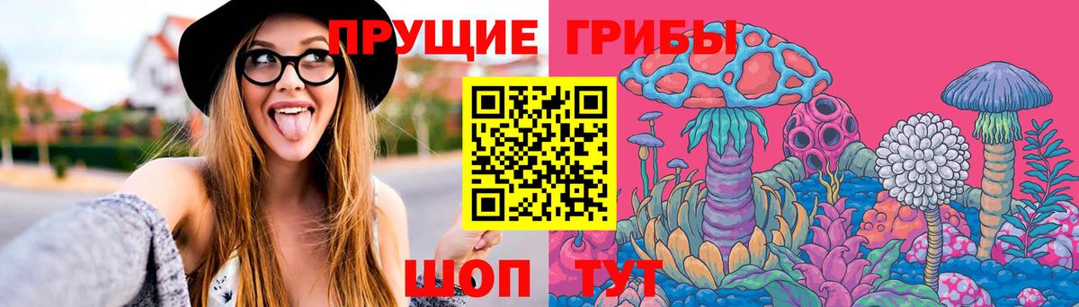 Псилоцибиновые грибы Psilocybe  Галлюциногенные грибы Psilocybe  Белорецк  Вход с VPN 